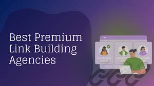 premium link building